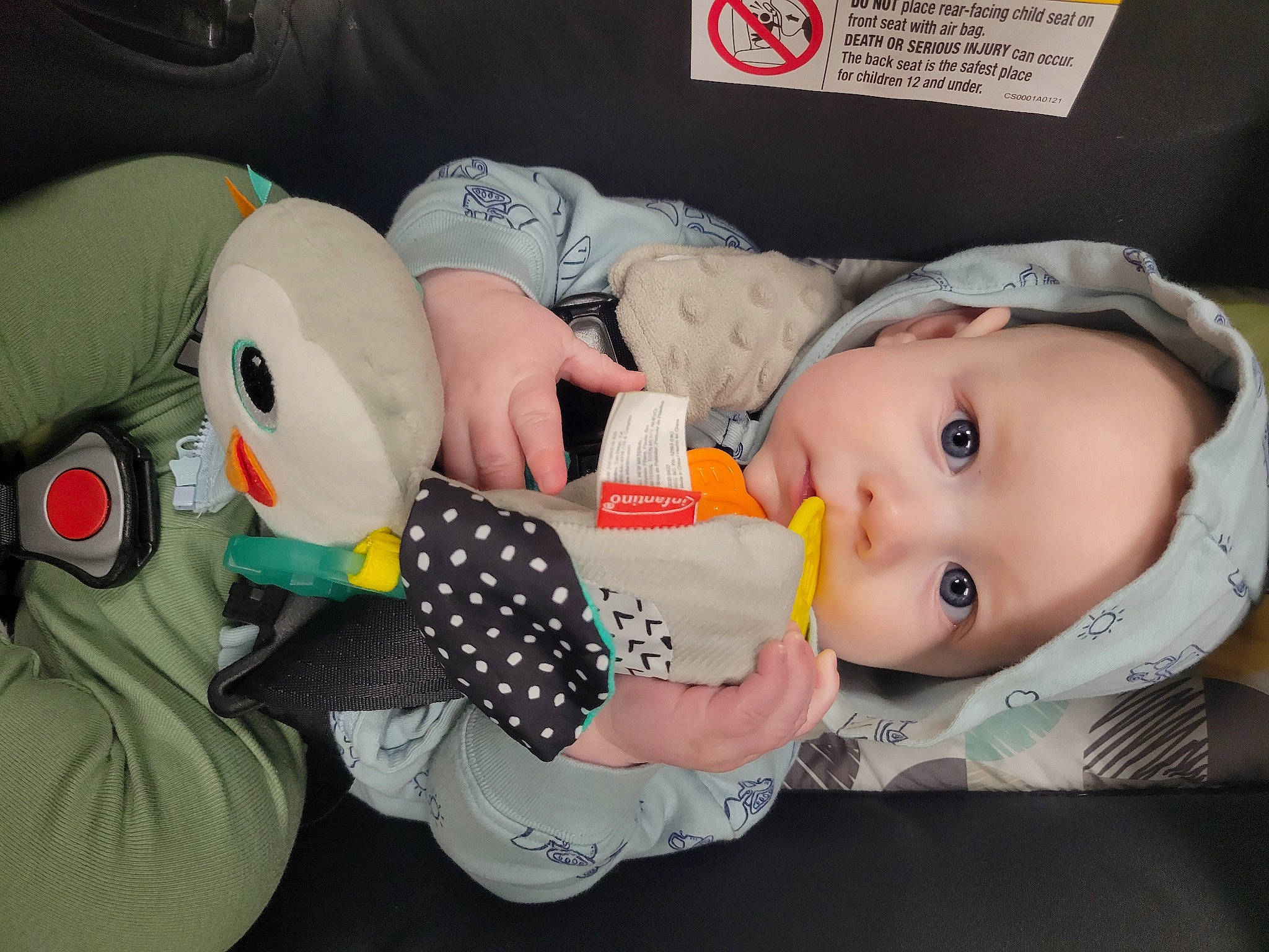 Odin joined the competition — help win amazing prizes! baby, baby_products, baby_safety, baby_sleeping, baby_toddler_clothing, baby_toys, cheek, child, comfort, fun, mouth, people, person, plush, room, sitting, skin, stuffed_toy, textile, toddler