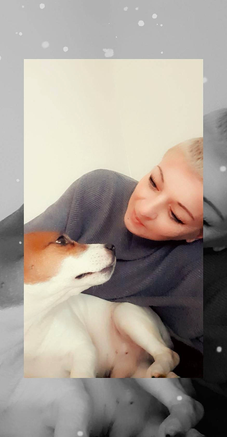 Gustave participe au concours pour gagner de l'argent avec cette photo : abdomen, carnivore, comfort, companion_dog, dog, dog_breed, elbow, eyebrow, eyelash, flash_photography, gesture, happy, human_body, jaw, knee, neck, shoulder, sitting, smile, trunk