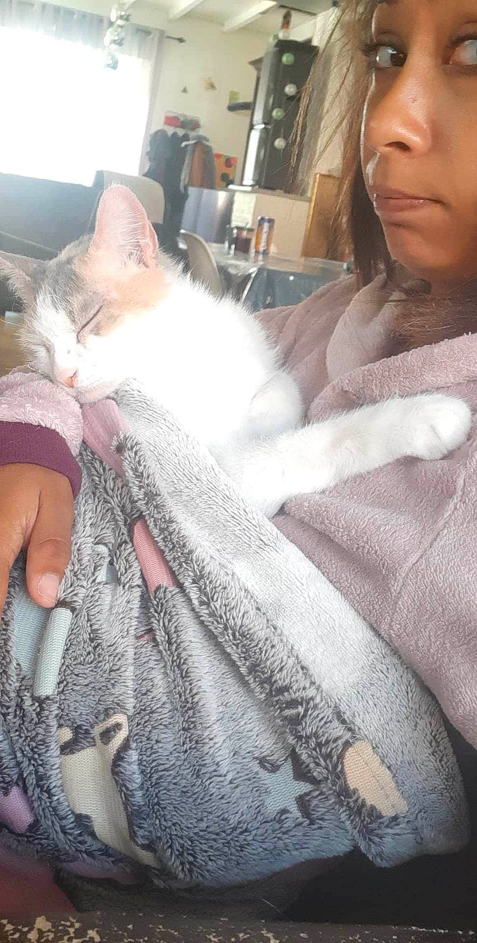 Indiana participe au concours pour gagner de l'argent avec cette photo : fur, leg, long_hair, photography, selfie