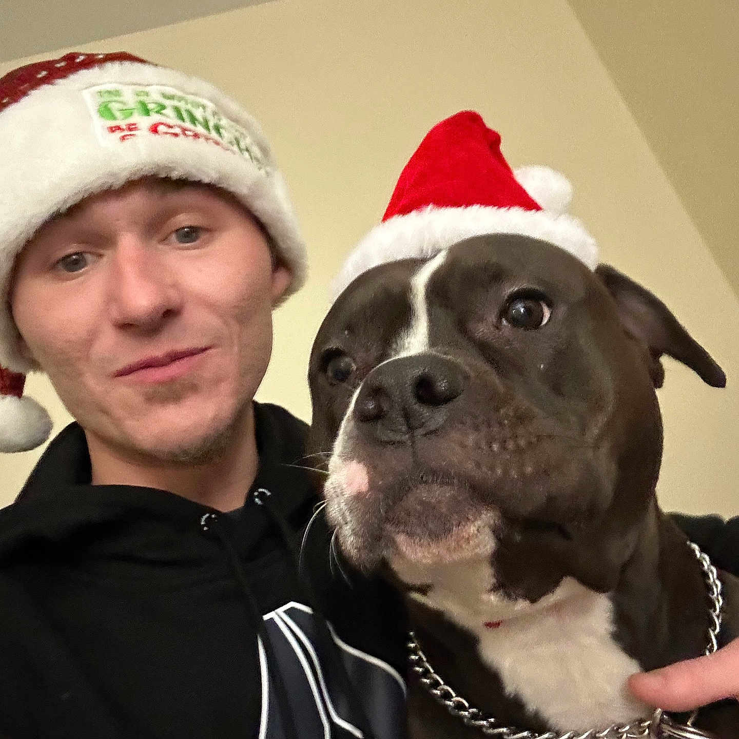 Nala joined the competition — help win amazing prizes! animal, black_hoodie, celebration, chain_collar, christmas, companion, cute, dog, face, festive, friendship, head, holiday, human, indoor, pet, portrait, santa_hat, smile, winter