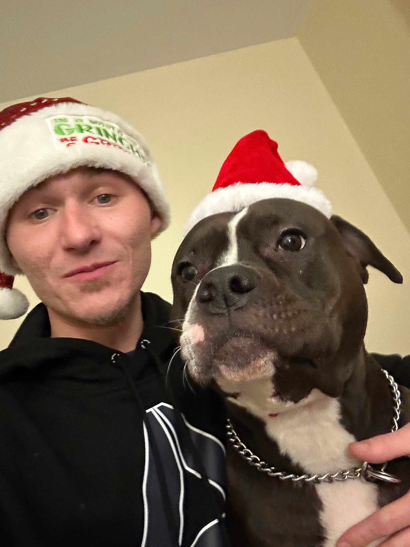 Nala joined the competition — help win amazing prizes! human, dog, santa_hat, holiday, christmas, indoor, portrait, black_hoodie, chain_collar, pet, smile, face, head, animal, friendship, festive, cute, companion, celebration, winter
