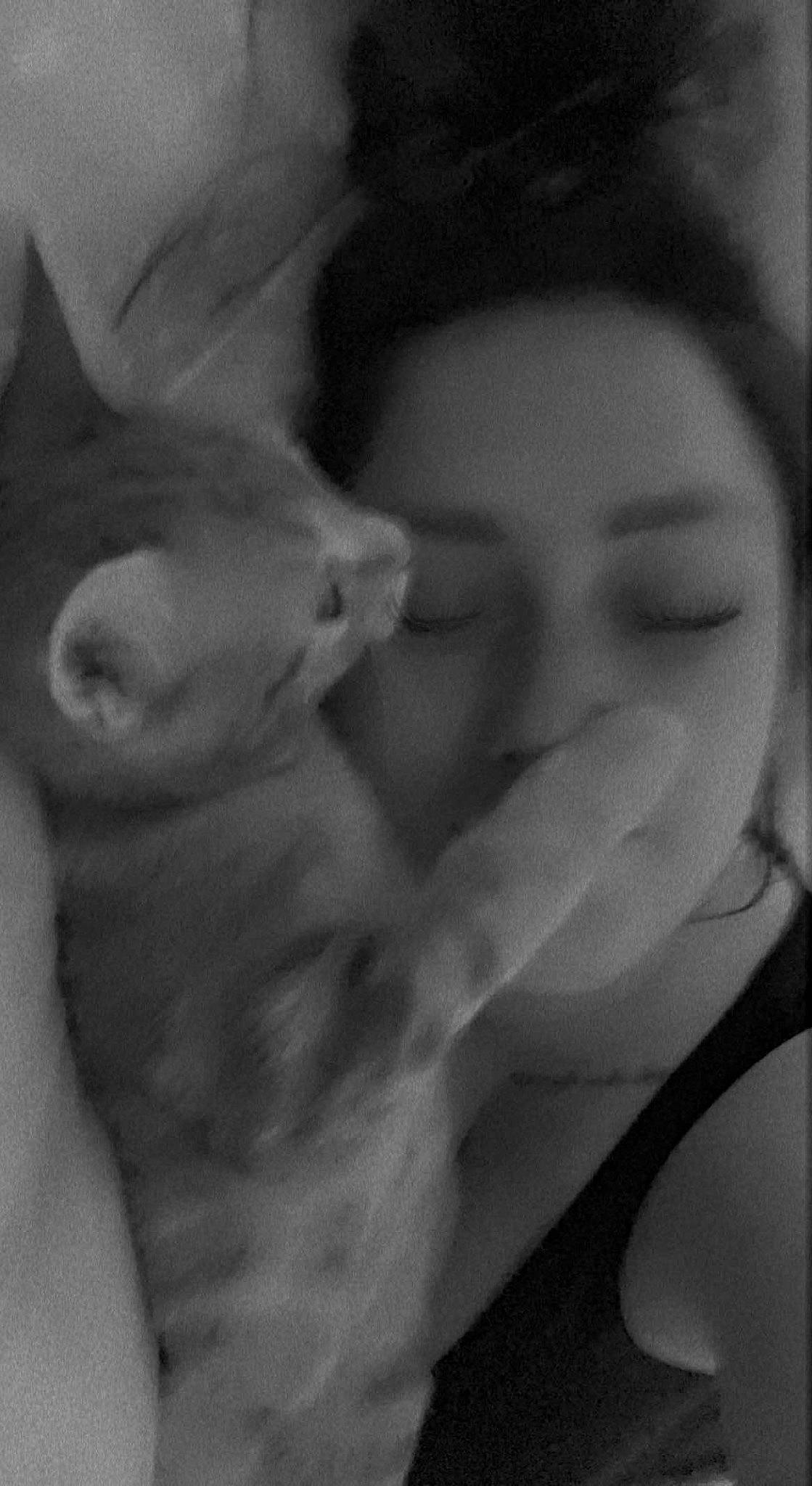 Miley joined the competition — help win amazing prizes! black_and_white, carnivore, cat, ear, eyebrow, eyelash, felidae, finger, gesture, grey, iris, jaw, monochrome, monochrome_photography, mouth, nose, small_to_medium_sized_cats, snout, style, whiskers