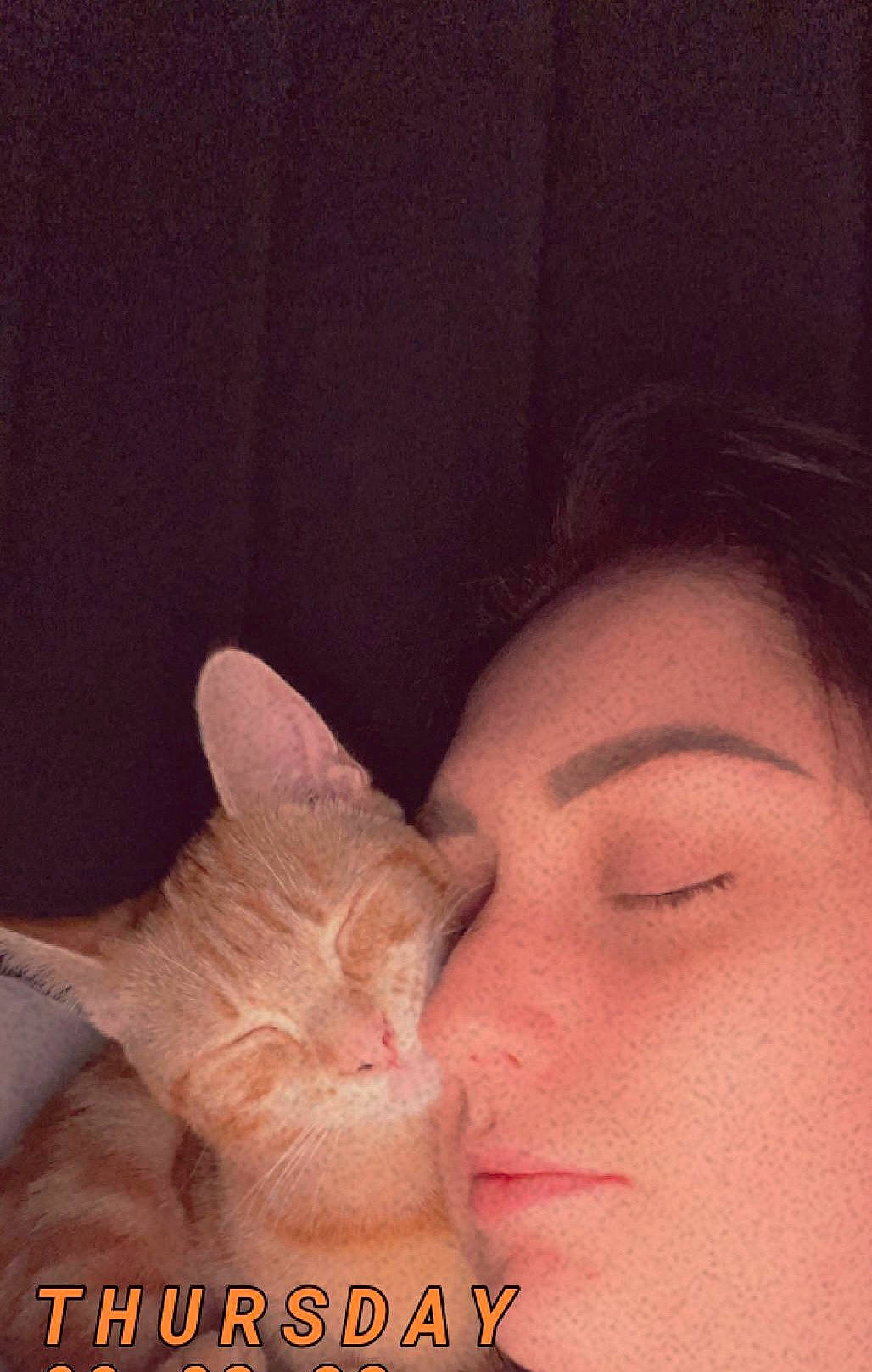 Miley is registered to the contest to win money with this photo: beard, cat, ear, eyebrow, eyelash, fawn, felidae, finger, gesture, happy, human_body, jaw, lip, nail, neck, nose, small_to_medium_sized_cats, thumb, whiskers, wrist