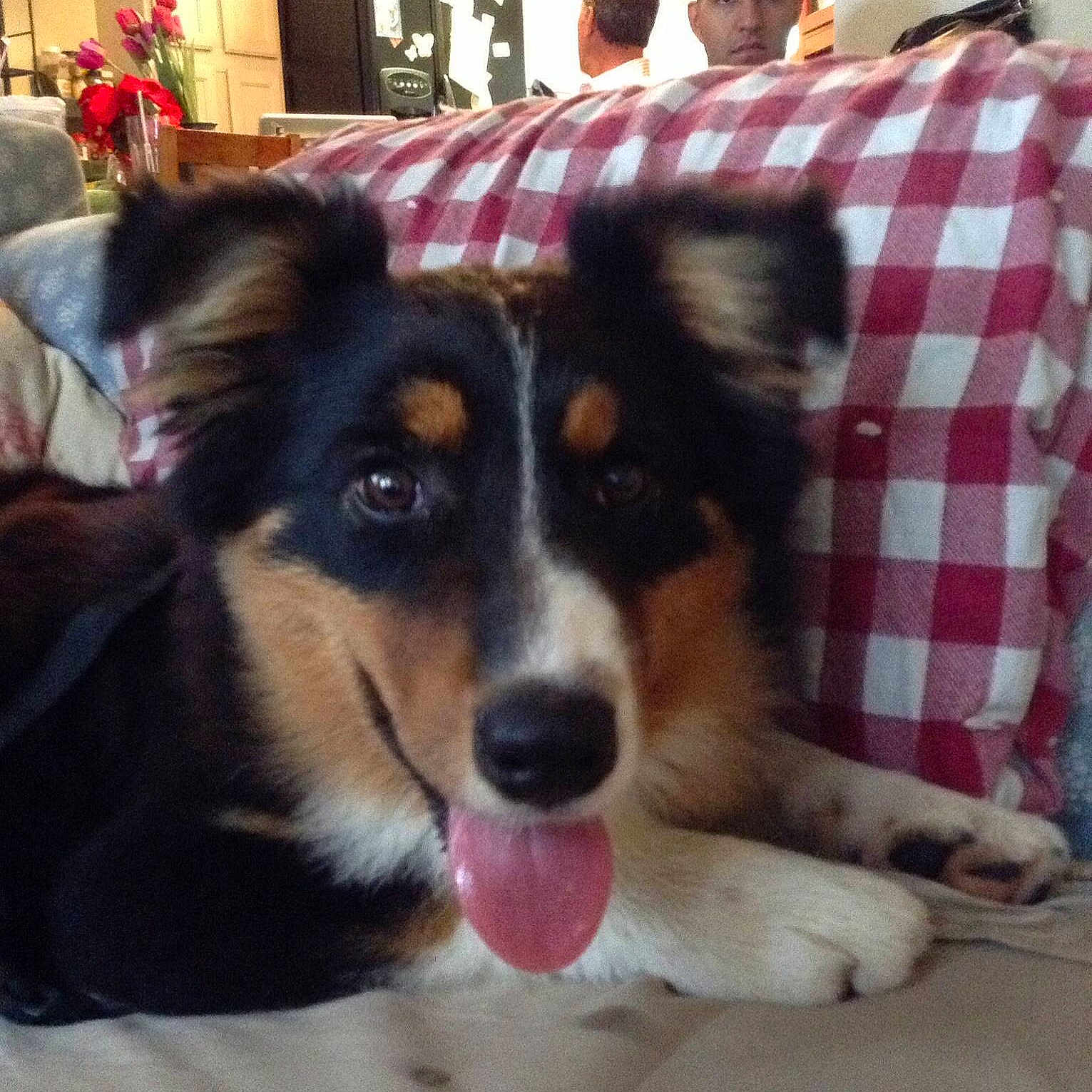 Roxie