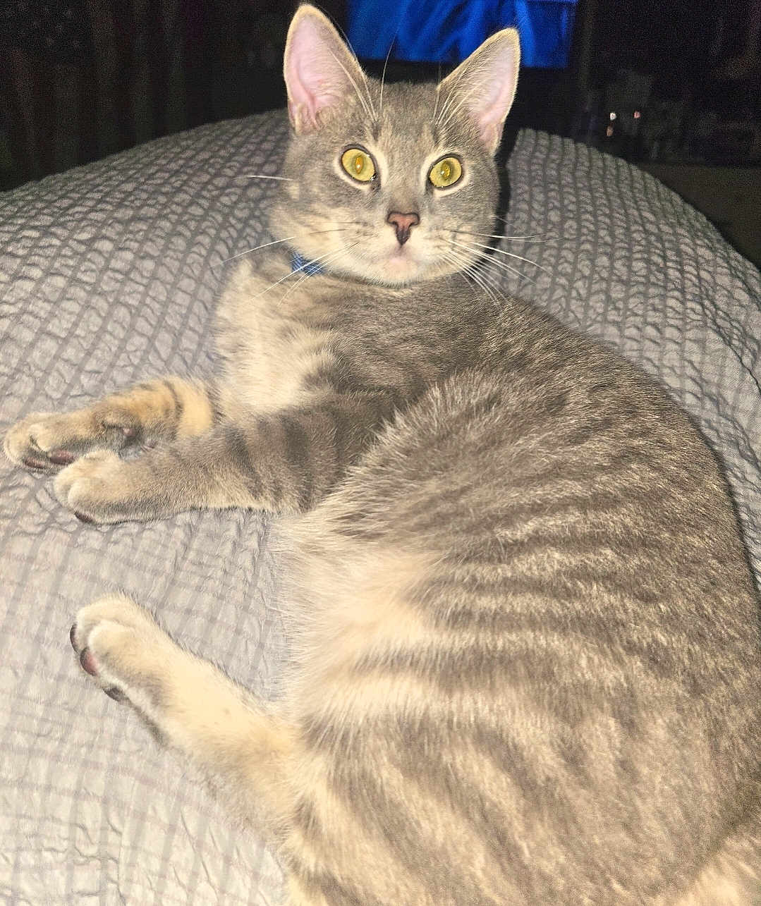 Milton