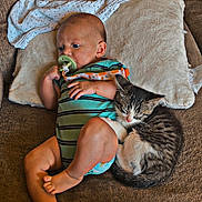 Sutton And Milo joined the competition — help win amazing prizes! baby, pacifier, kitten, cat, couch, pillow, blanket, infant, sleeping_cat, striped_onesie, indoor, resting, cute, snuggling, furniture, cozy, child, pet, toddler, relaxing