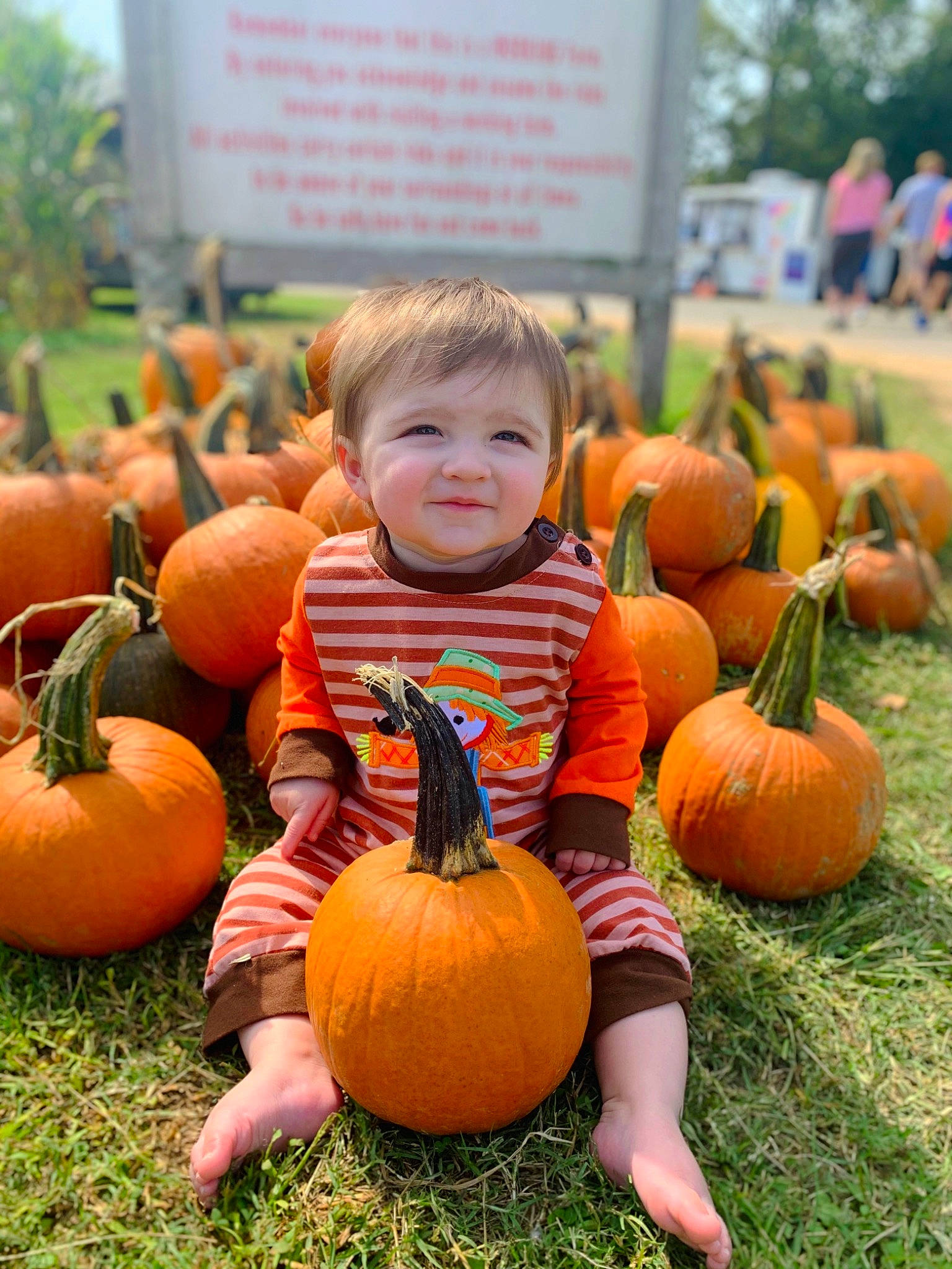 Nash is registered to the contest to win money with this photo: _and_melon_family, _gourd, autumn, calabaza, child, cucumber, cucurbita, food, fruit, gourd, grass, local_food, natural_foods, orange, person, plant, produce, pumpkin, squash, toddler
