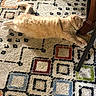 Mya Bean is registered to the contest to win money with this photo: animal, carpet, cat, ears, fur, furniture, geometric_pattern, ginger_cat, home, indoor, lying_down, orange_cat, paws, pet, relaxed, rug, sleeping, stretched_out, tail, whiskers
