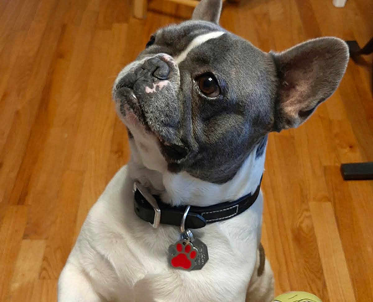 Dexter