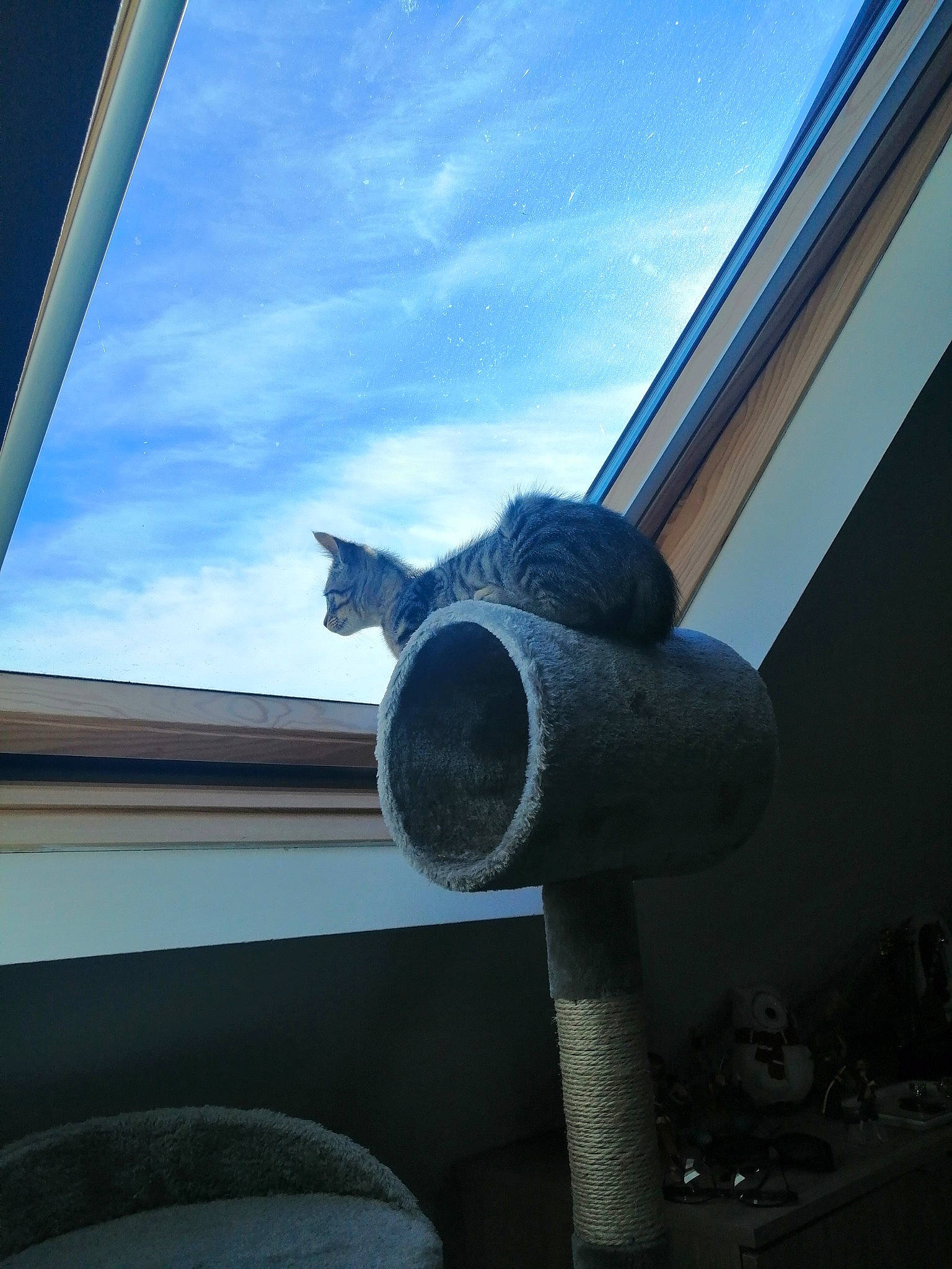 Haru a rejoint le concours — aidez-le/la à gagner de superbes lots ! architecture, automotive_window_part, blue, cloud, daylighting, line, metal, photography, pipe, sky, window