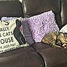 cat, tabby_cat, sleeping, pillow, decorative_pillow, purple_pillow, gray_pillow, leather_couch, couch, indoor, home, cozy, furniture, pet, animal, resting, striped_cat, text_on_pillow, living_room, relaxation