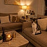 armchair, candle, cat, coffee_table, cozy, curtains, cushions, framed_photos, home_decor, indoor, lamp, living_room, marble_table, pet, portrait, sitting, sofa, tabby_cat, warm_lighting, white_chest