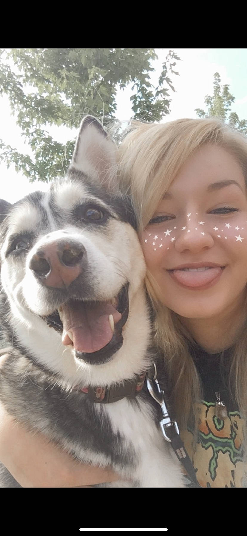 Angel Cake joined the competition — help win amazing prizes! alaskan_klee_kai, alaskan_malamute, canidae, carnivore, companion_dog, dog, dog_breed, eye, head, iris, jaw, mammal, nose, organ, photography, selfie, siberian_husky, sled_dog, smile, snout