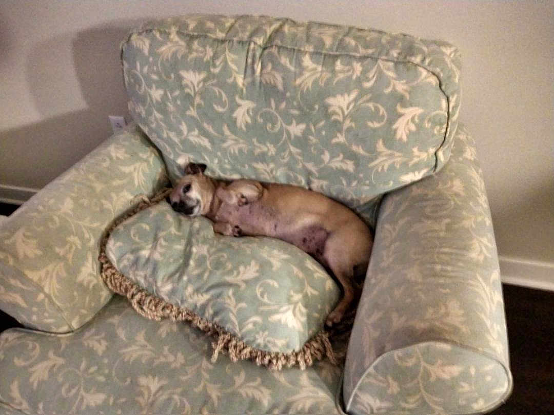 Libby
