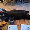 ébène participe au concours pour gagner de l'argent avec cette photo : black_cat, cat, table, wooden_table, glass, drink, papers, office_supplies, flooring, wooden_floor, chair, indoor, curious_eyes, pet, furniture, clutter, domestic, animal, relaxed, wide_eyes