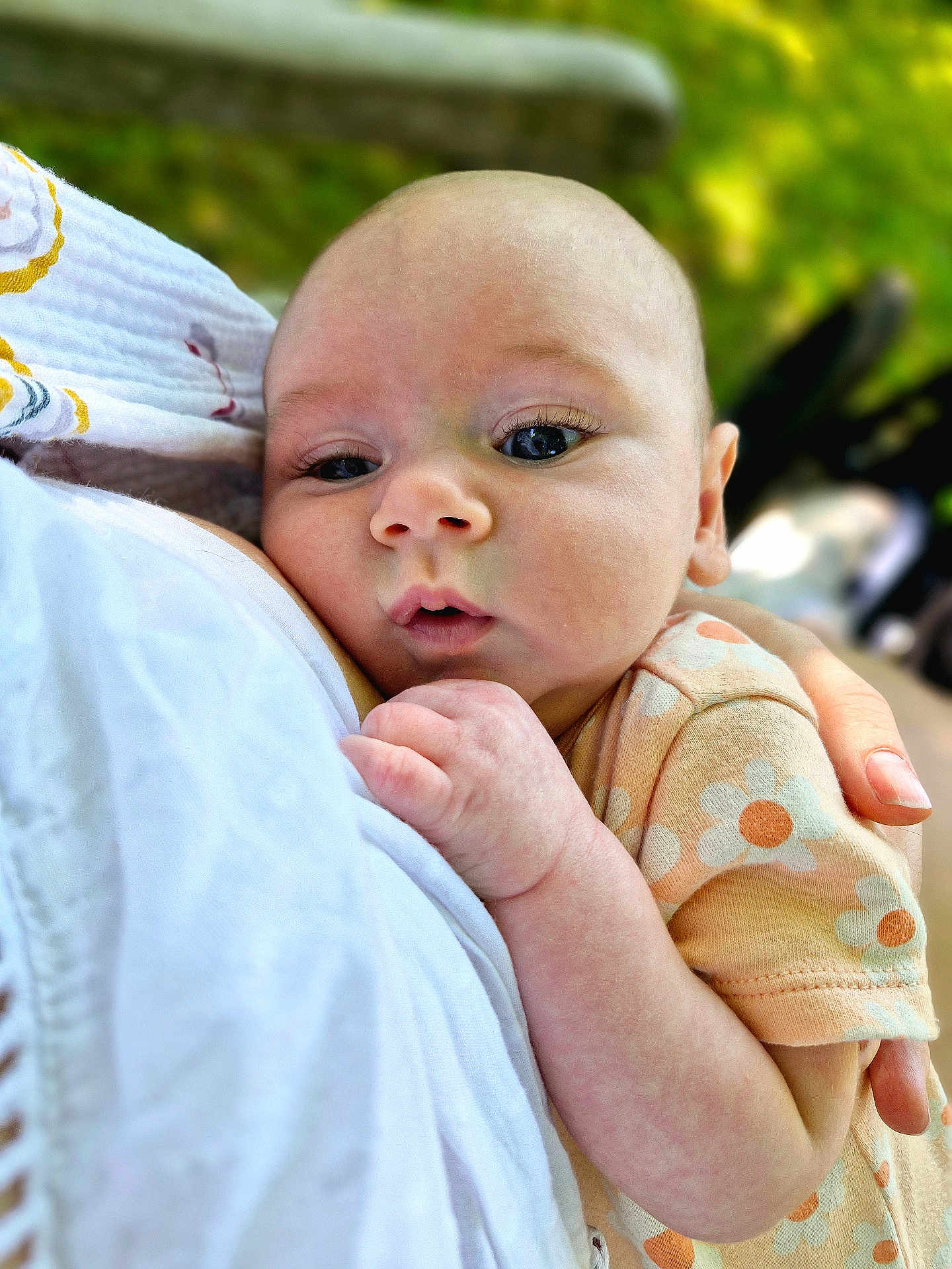 Olive joined the competition — help win amazing prizes! baby, infant, child, holding, hand, face, eyes, clothing, pattern, daisy, flower, skin, person, outdoor, nature, blurred_background, closeup, cute, soft, gentle