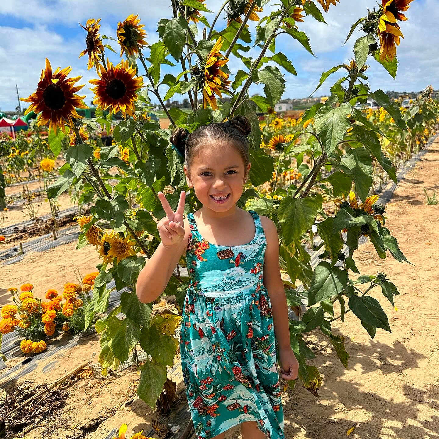 Everleigh joined the competition — help win amazing prizes! child, countryside, face, farm, female, flower, girl, head, herbal, herbs, nature, outdoors, person, photography, plant, portrait, rural, soil, summer, sunflower