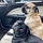 Bruno And Pugsworth