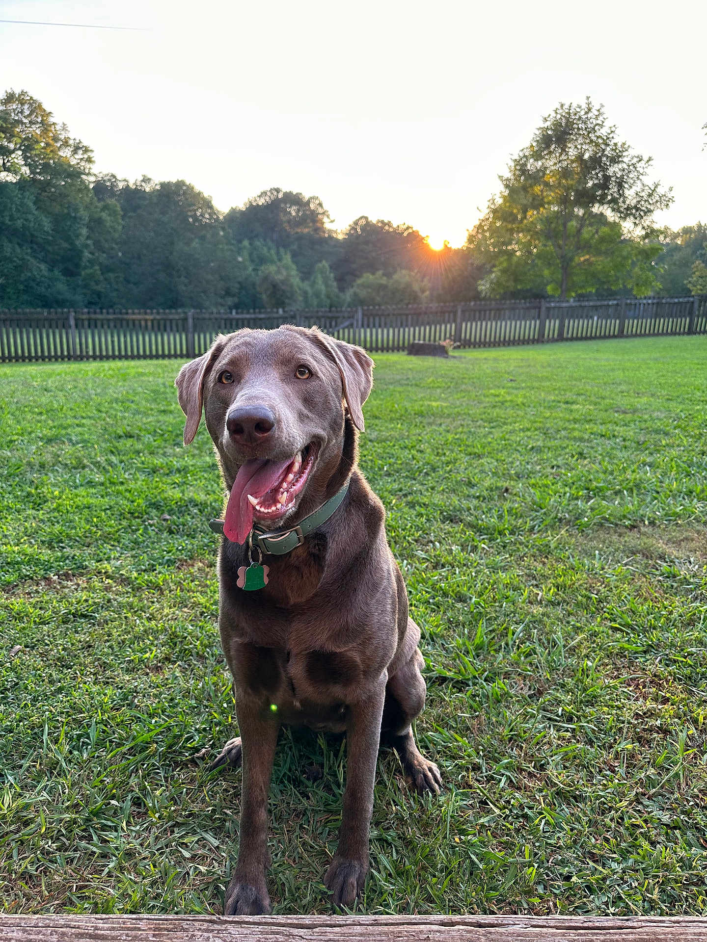 Baylor
