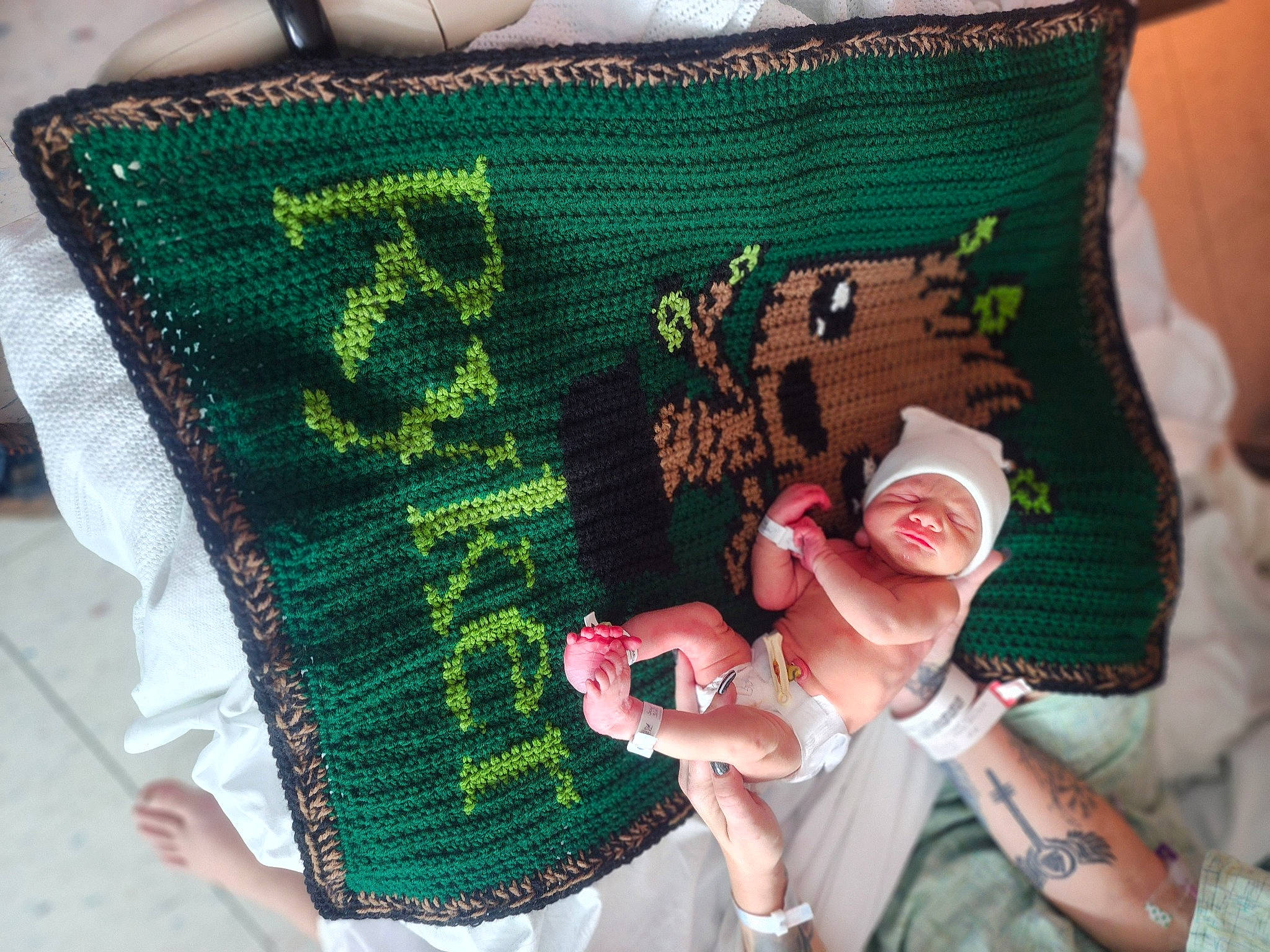 Ryker joined the competition — help win amazing prizes! abdomen, art, bag, chair, craft, event, fashion_accessory, grass, green, hand, headwear, linens, nail, pattern, person, rectangle, sock, textile, throw_pillow, trunk