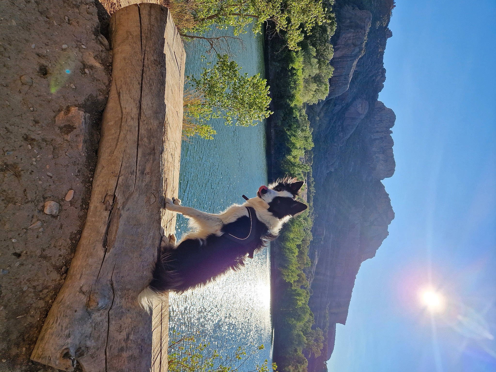 Pin-up participe au concours pour gagner de l'argent avec cette photo : azure, bedrock, formation, geological_phenomenon, landscape, leisure, light, mountain, nature, plant, recreation, rock, sky, sport_climbing, terrain, tints_and_shades, tree, trunk, water, wood