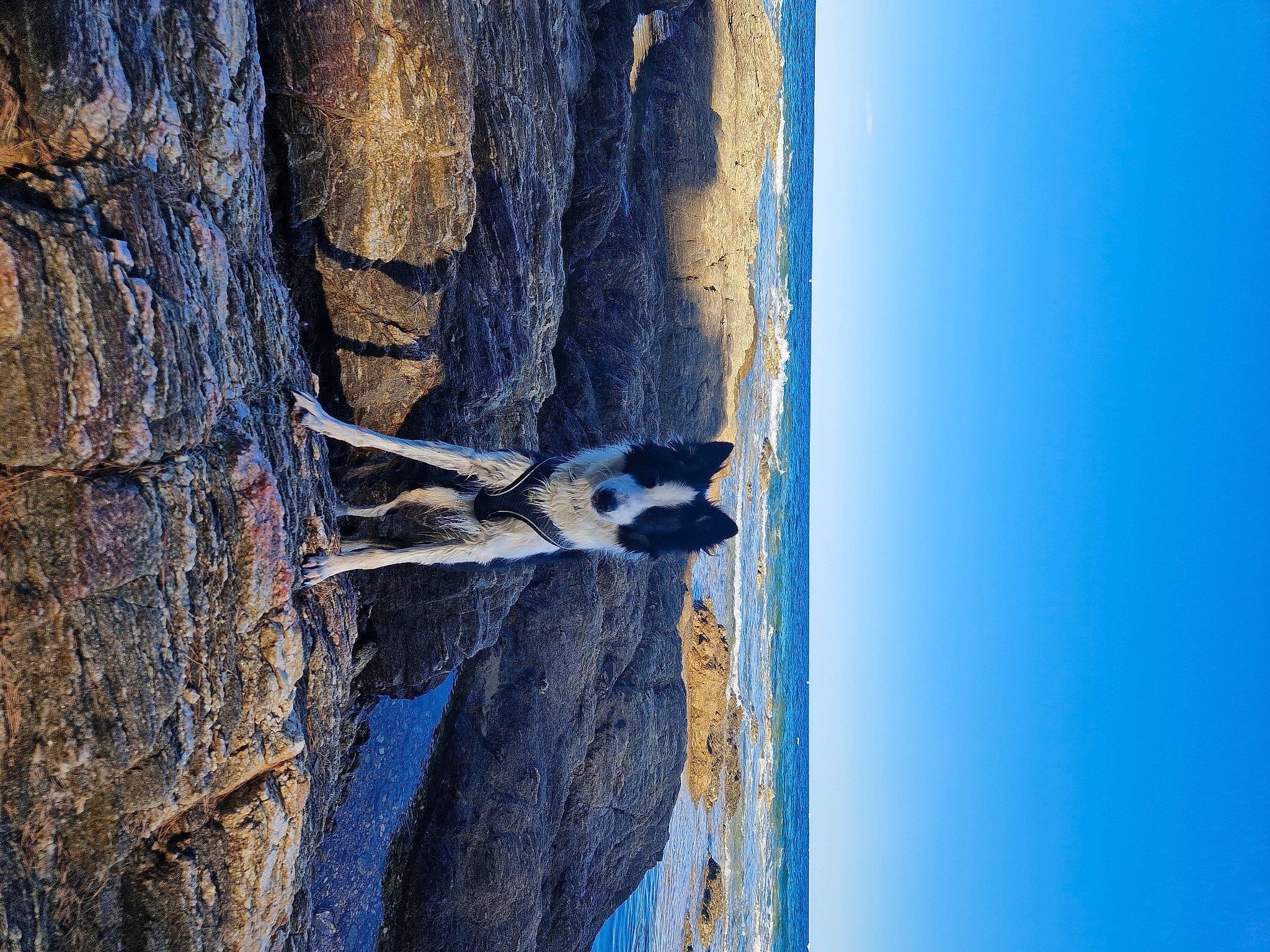 Pin-up participe au concours pour gagner de l'argent avec cette photo : adventure, art, azure, beauty, bedrock, electric_blue, formation, freezing, landscape, outcrop, plant, rock, shadow, sky, tree, trunk, twig, water, winter, wood