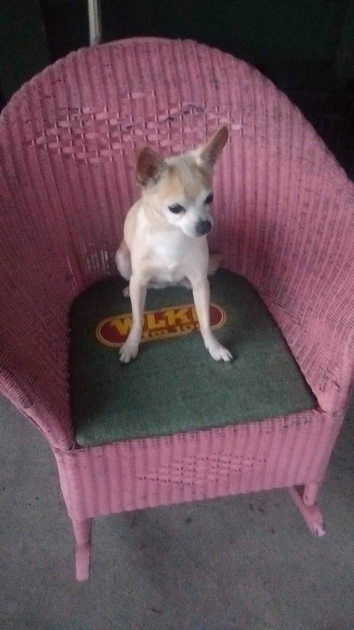 Tamberlee joined the competition — help win amazing prizes!