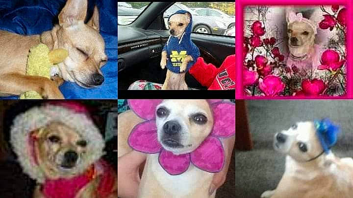 Tamberlee joined the competition — help win amazing prizes!