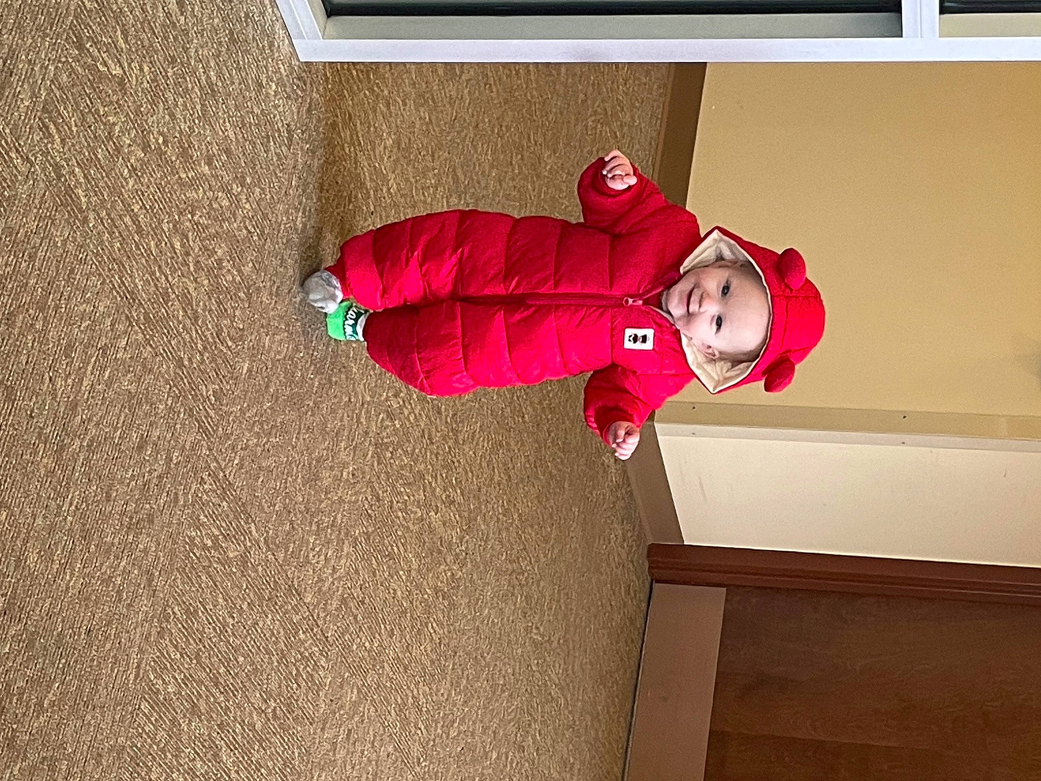 Elizabeth joined the competition — help win amazing prizes! baby, baby_toddler_clothing, carmine, child, door, floor, flooring, fun, hardwood, hat, joy, magenta, person, plant, room, toddler, tree, wall, wood
