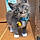 Baxter