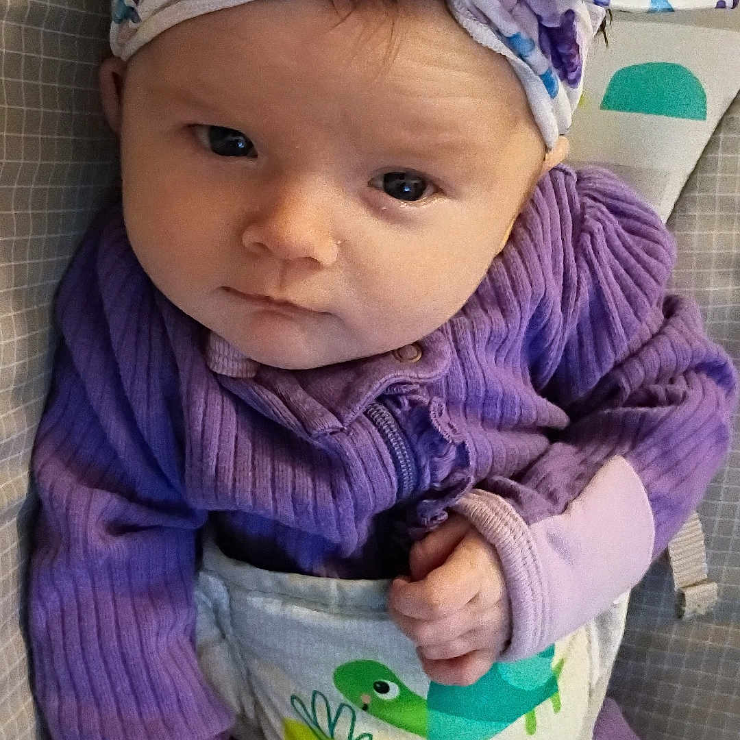 Nova