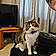 Ziggy