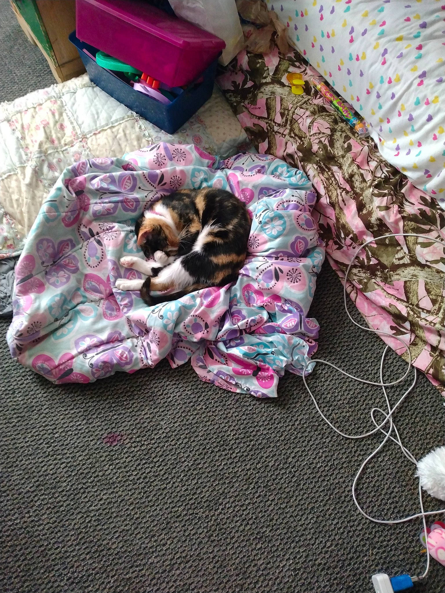 Cammy joined the competition — help win amazing prizes! bag, baggage, bed_sheet, bedding, carnivore, comfort, companion_dog, dog_breed, fawn, felidae, fur, linens, luggage_and_bags, magenta, pattern, pink, purple, small_to_medium_sized_cats, sporting_group, textile