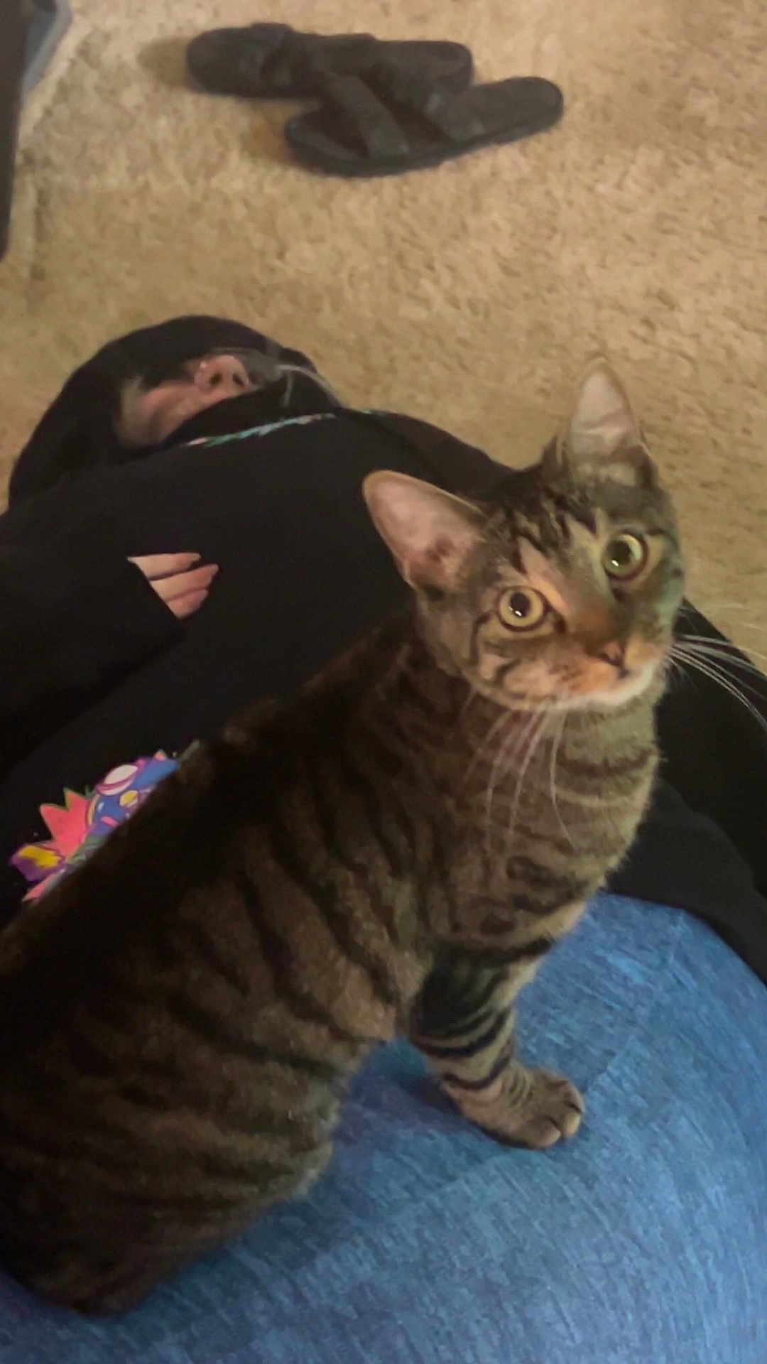 Coco