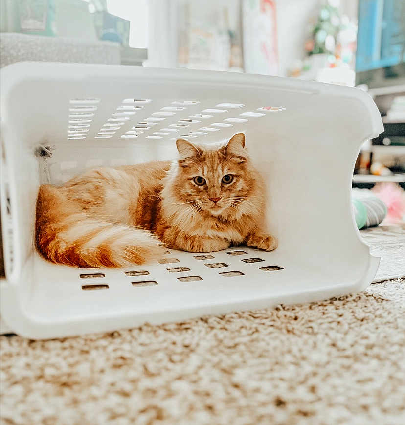 Copper