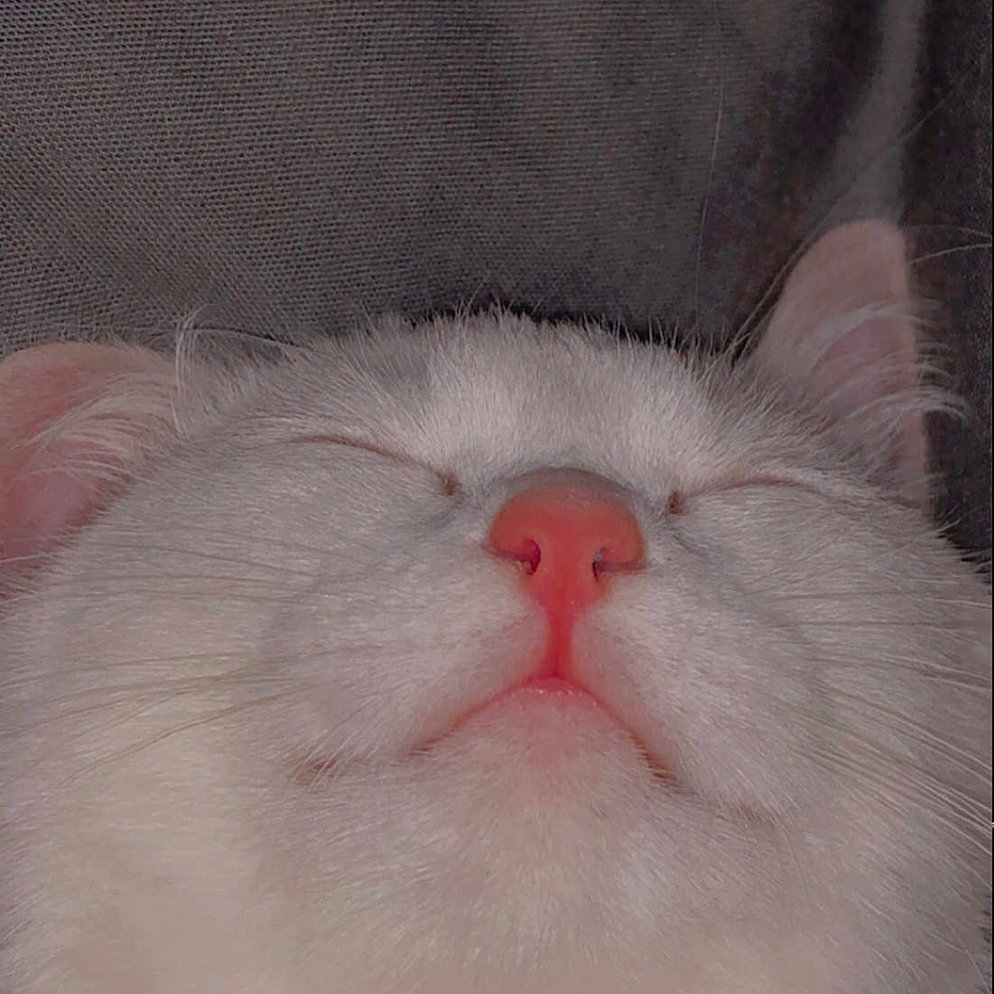 Bassabissou