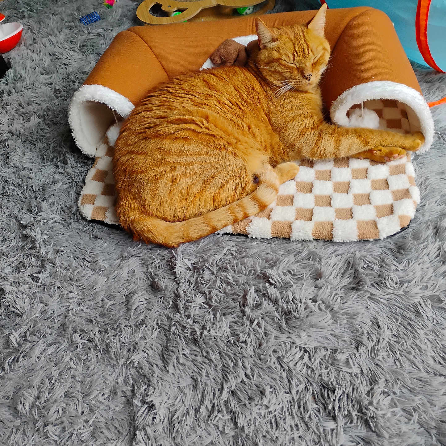 Caramel participe au concours pour gagner de l'argent avec cette photo : animal, carpet, cat, cozy, curious, cute, domestic_cat, feline, fluffy_cat, gray_rug, home, indoor, orange_tabby, pet_bed, playful, relaxed, resting, sleeping, soft_texture, toys