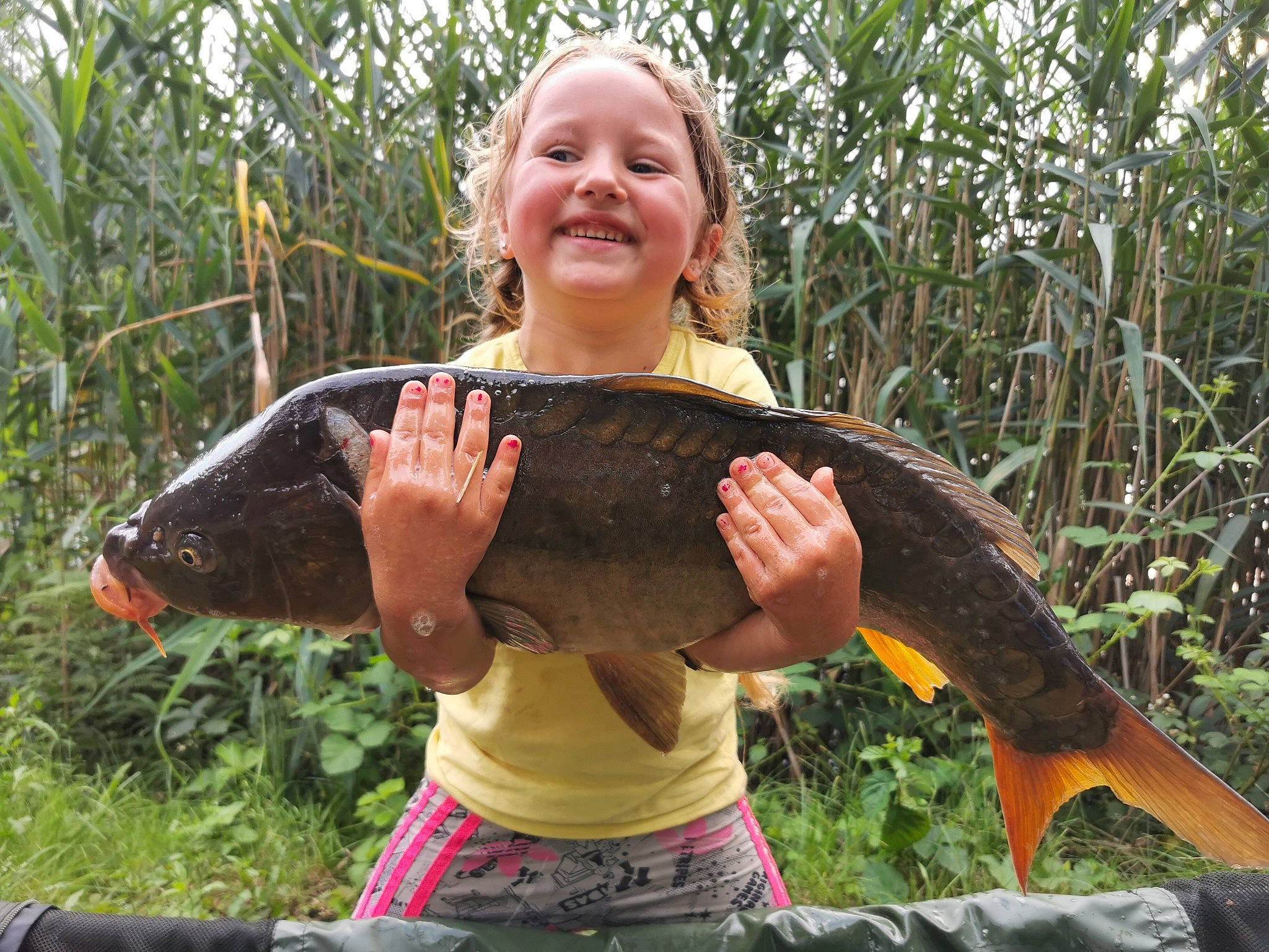 Elyana a rejoint le concours — aidez-le/la à gagner de superbes lots ! adaptation, elbow, fish, joy, people_in_nature, person, plant, reptile, scaled_reptile, serpent, shorts, sky, smile, soil, t_shirt, terrestrial_plant, thumb, tree, vegetable, vertebrate