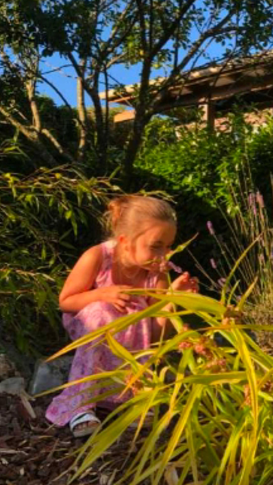 Maelou a rejoint le concours — aidez-le/la à gagner de superbes lots ! botany, flower, grass, grass_family, jungle, person, plant, terrestrial_plant, tree, vacation