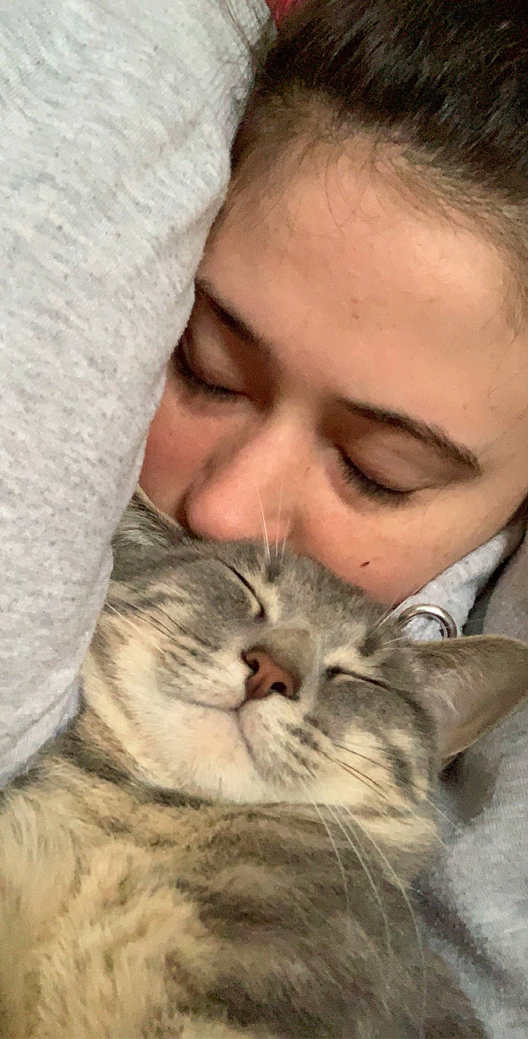 Prince a rejoint le concours — aidez-le/la à gagner de superbes lots ! beard, carnivore, cat, comfort, domestic_short_haired_cat, ear, eyebrow, eyelash, felidae, fur, gesture, happy, hug, moustache, nose, paw, small_to_medium_sized_cats, snout, vertebrate, whiskers