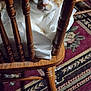 cat, orange_and_white, chair, wooden, indoor, curious, pet, feline, floor_rug, patterned_rug, cozy, domestic, animal, close_up, fur, whiskers, paw, home, comfort, looking
