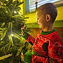 Everett is registered to the contest to win money with this photo: child, boy, christmas_tree, christmas_lights, holiday, decorating, sweater, spiderman, red_sweater, green_cuffs, indoor, window, blinds, smiling, profile, festive, pine_tree, ornament, warm_light, holiday_season