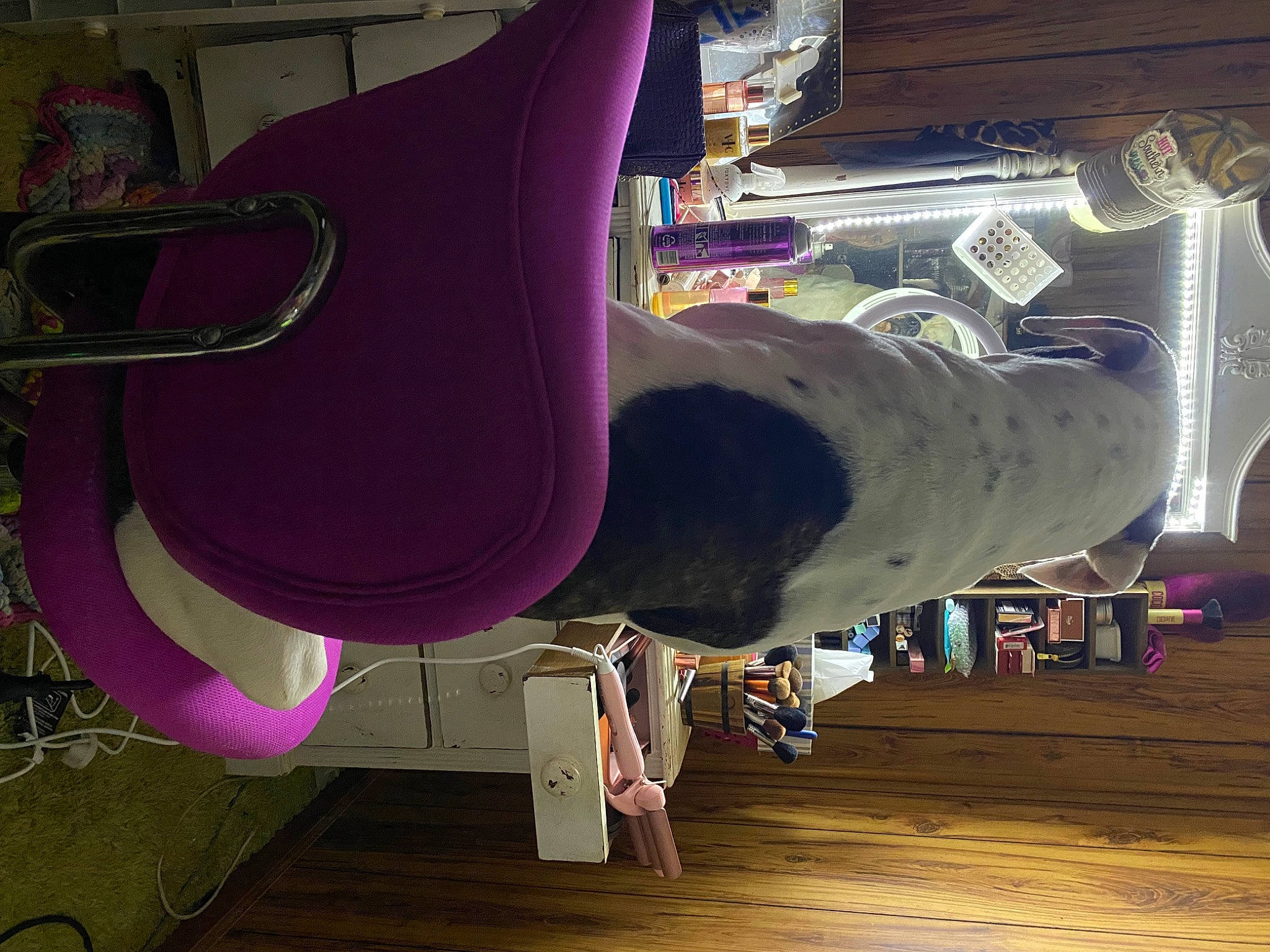 Brutus joined the competition — help win amazing prizes! art, building, ceiling, engineering, fashion_design, flooring, gas, hardwood, machine, magenta, metal, musical_instrument, purple, room, space, violet, visual_arts, wood