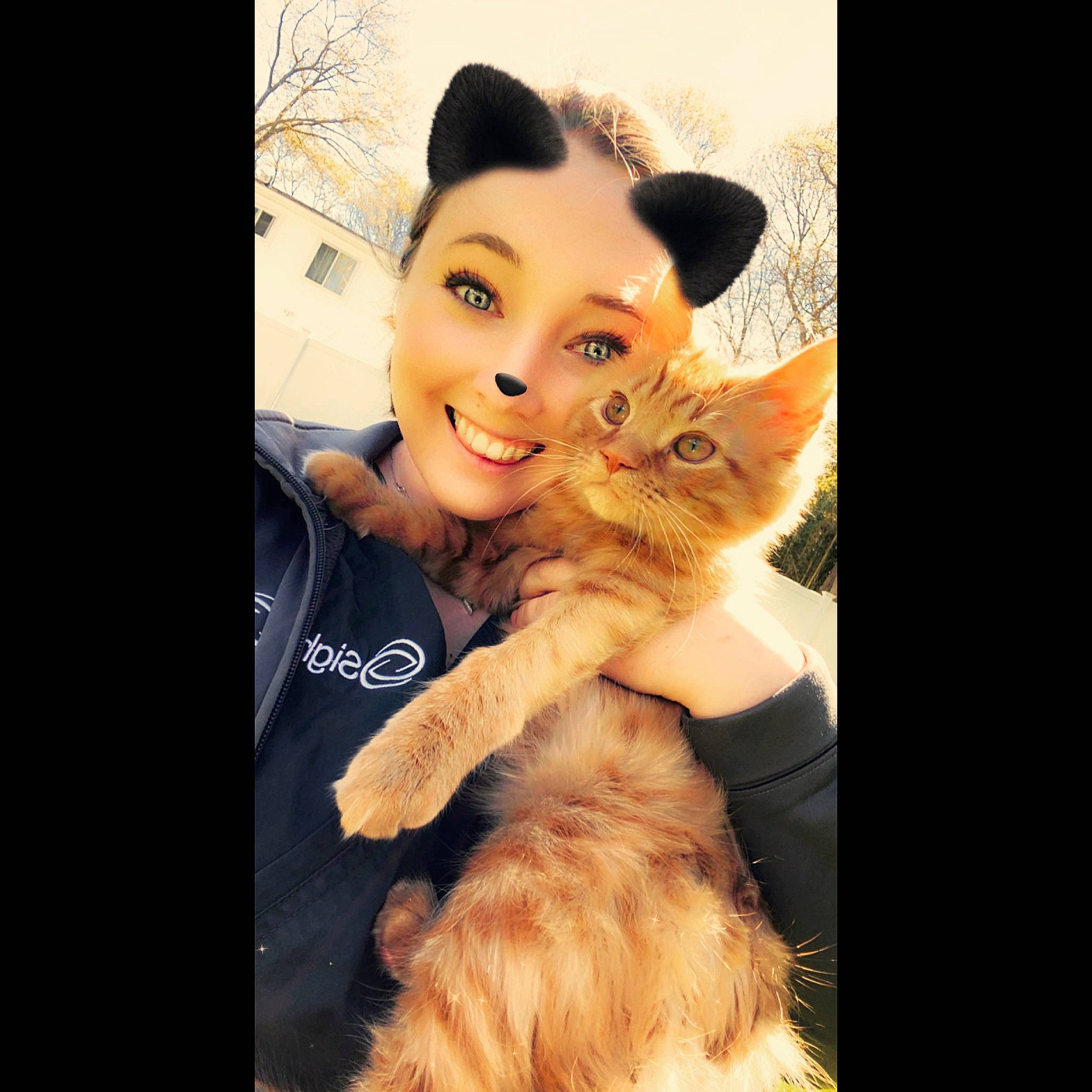 Alphonse joined the competition — help win amazing prizes! art, carnivore, cat, companion_dog, ear, fawn, felidae, fur, gesture, hand, happy, iris, long_hair, paw, selfie, small_to_medium_sized_cats, smile, tail, toy, whiskers