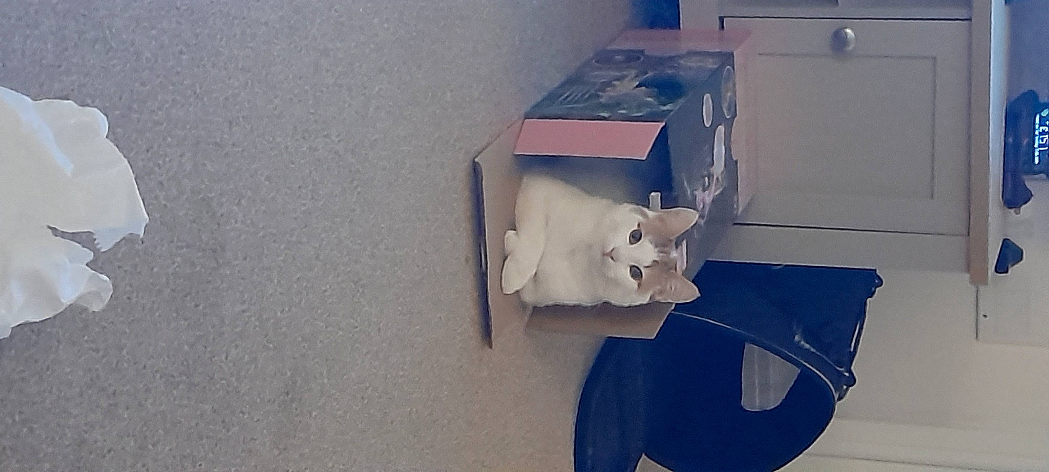 Cheddar is registered to the contest to win money with this photo: art, automotive_design, carmine, concrete, creative_arts, flooring, font, grey, paper, paper_product, plaster, plastic, plywood, room, sculpture, shadow, table, visual_arts, wood