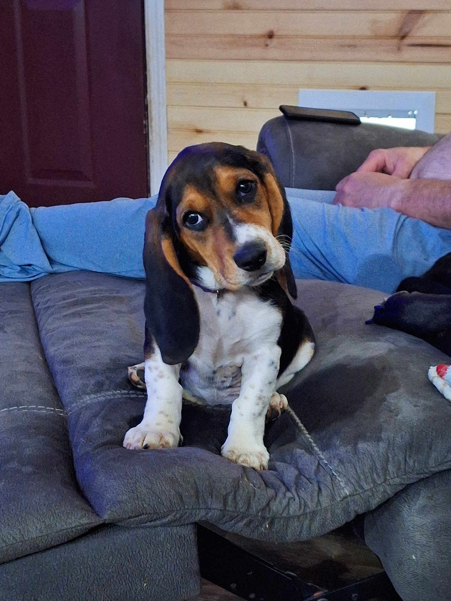 Bella