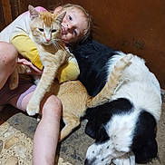 Alice joined the competition — help win amazing prizes! animal, bodypart, canine, cat, child, couch, dog, face, female, finger, furniture, girl, hand, head, kitten, path, person, pet, photography, portrait