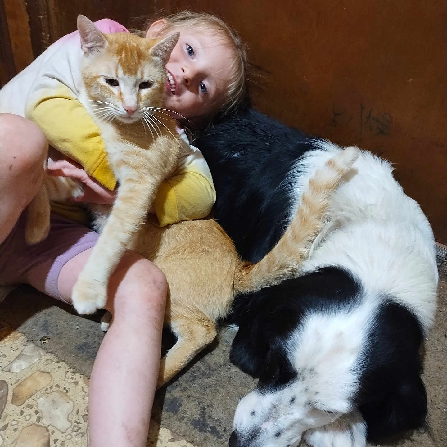 Alice joined the competition — help win amazing prizes! animal, bodypart, canine, cat, child, couch, dog, face, female, finger, furniture, girl, hand, head, kitten, path, person, pet, photography, portrait