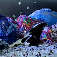 Maus is registered to the contest to win money with this photo: cat, bed, blanket, colorful, patterned_sheet, black_and_white, indoor, feline, resting, stars, wall_decor, cozy, sleepy, animal, pets, soft, fabric, cute, comfort, relaxation