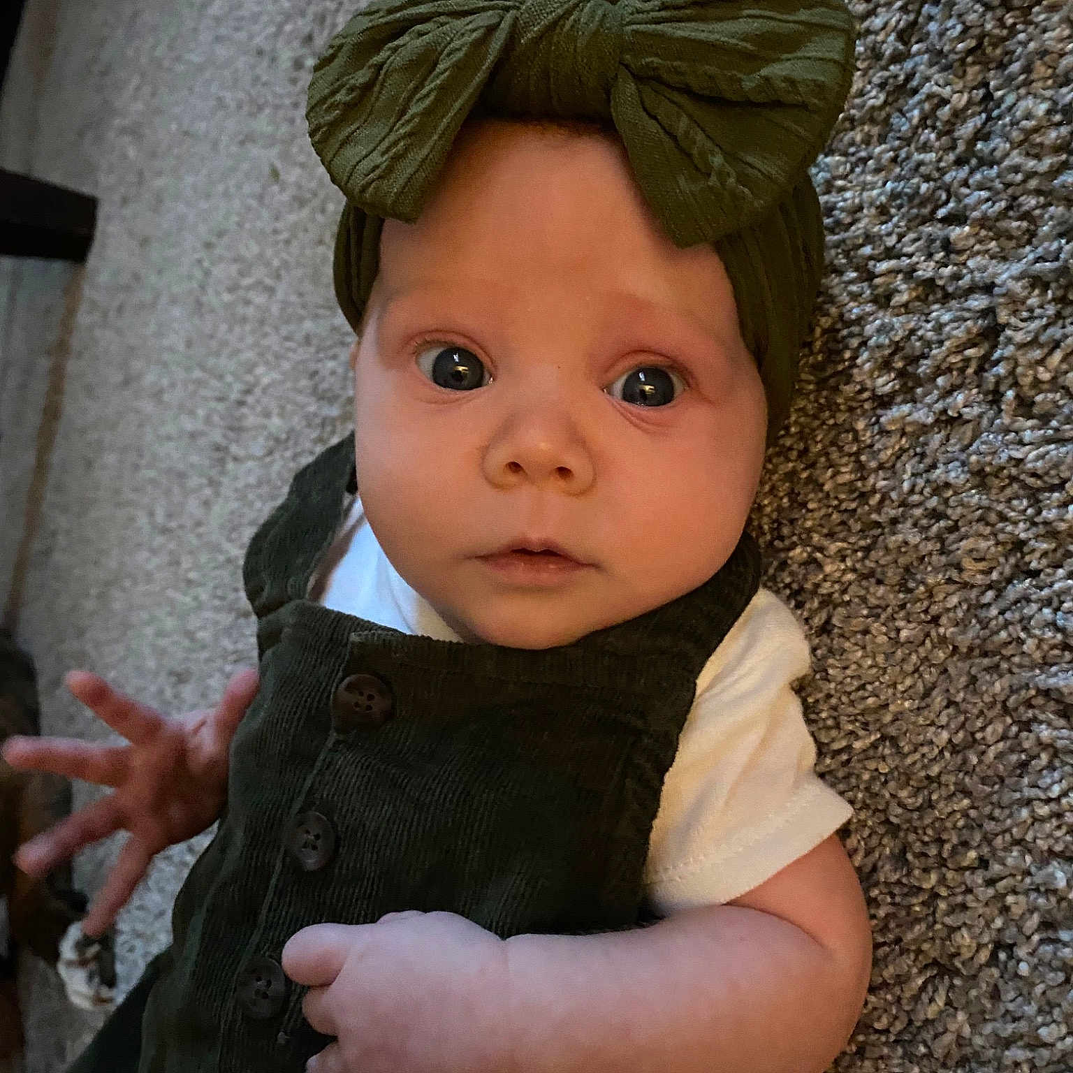 Evelynn is registered to the contest to win money with this photo: baby, baby_toddler_clothing, beanie, bonnet, cap, cheek, child, fashion_accessory, flash_photography, gesture, grass, head, lip, pattern, portrait_photography, sleeve, thumb, toddler, wool, woolen